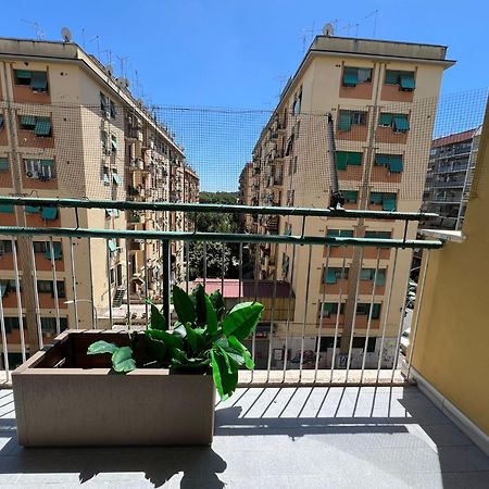 Luciano Queen'S Guest House Рим Екстер'єр фото